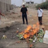إتلاف 200 عبوة من شمة الحوت في المنصورة
