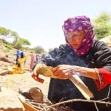الأمم المتحدة تحذر من تفاقم أزمة الأمن الغذائي في اليمن
