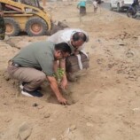 مدير عام البريقة يدشن مشروع تشجير الطريق العام إلى مركز المديرية