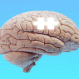 تغييرات غذائية بسيطة قد تقلل خطر الإصابة بالخرف