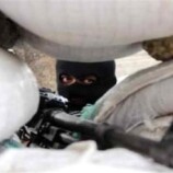 إصابة مواطنة برصاص قناص حوثي أثناء رعيها الأغنام غربي تعز اليمنية