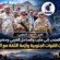 من باب المندب إلى مأرب والساحل الغربي وحضرموت… انتصارات القوات الجنوبية وأزمة الثقة مع التحالف تقرير «الصوت الجنوبي»