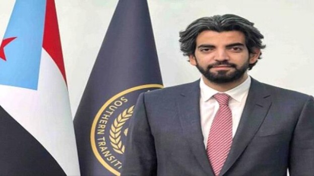 عمرو البيض يحمّل السعودية والحكومة اليمنية مسؤولية فشل حماية البحر الأحمر