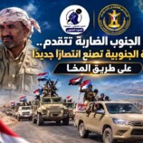 قوة الجنوب الضاربة تتقدم.. العمالقة الجنوبية تصنع انتصارًا جديدًا على طريق المخا