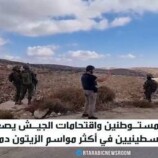 المستوطنون يعتدون على قاطفي الزيتون